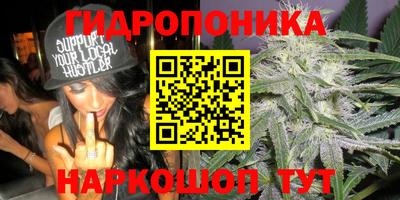 хмурый Новокубанск
