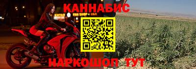 герыч Новозыбков
